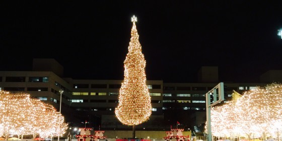 Mayor's Christmas Tree